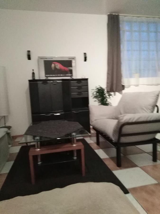Studiowohnung, Neu Renoviert, Zentrale Lage 자를루이 외부 사진