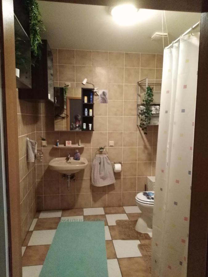Studiowohnung, Neu Renoviert, Zentrale Lage 자를루이 외부 사진