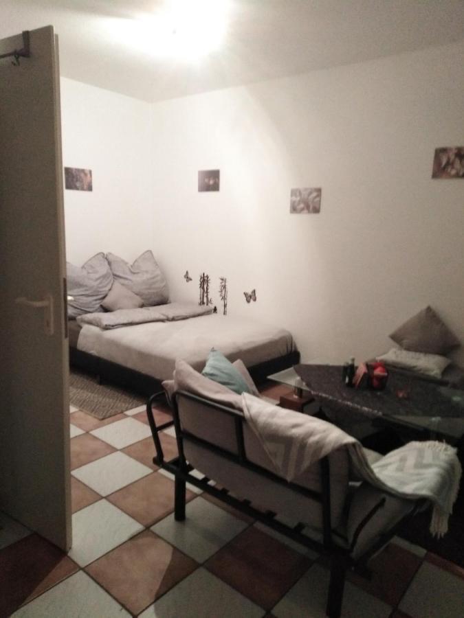 Studiowohnung, Neu Renoviert, Zentrale Lage 자를루이 외부 사진