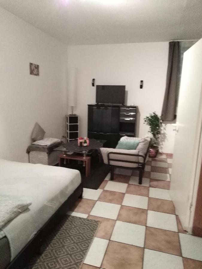 Studiowohnung, Neu Renoviert, Zentrale Lage 자를루이 외부 사진